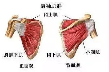 篮球训练后的总结与反思作文_0